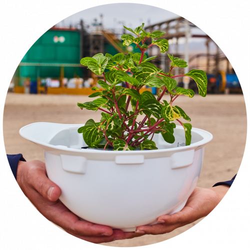 ellipse-2_v2 ellipse-2_v2