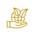 mesa-de-trabajo-1-copia-2 mesa-de-trabajo-1-copia-2