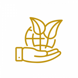 mesa-de-trabajo-1-copia-2