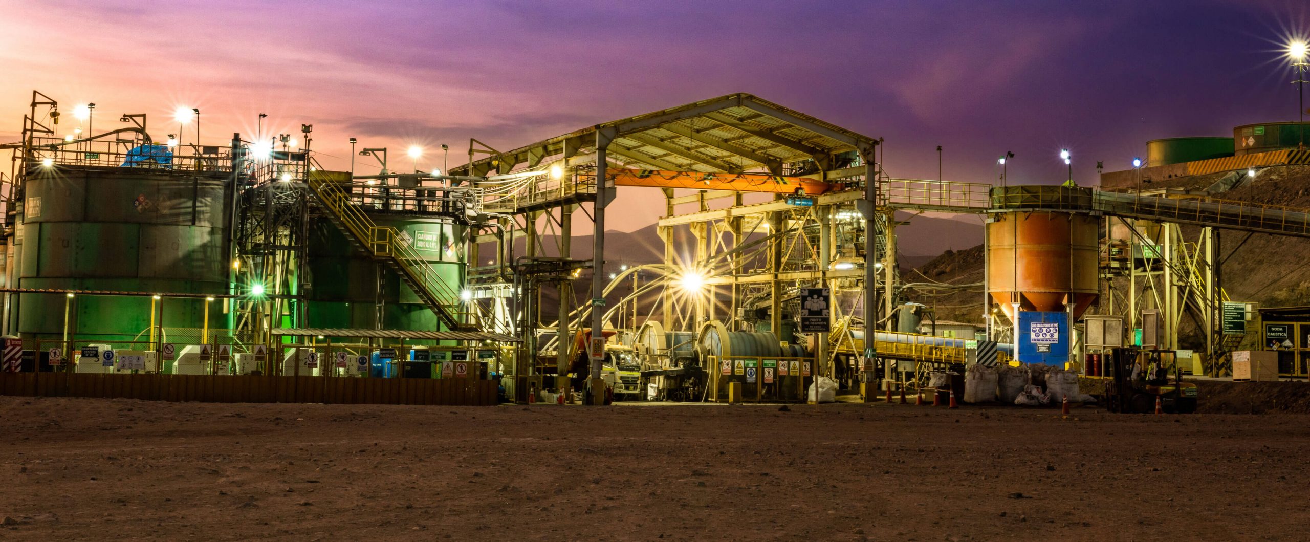 veta-dorada_chala-plant_peru-2-1