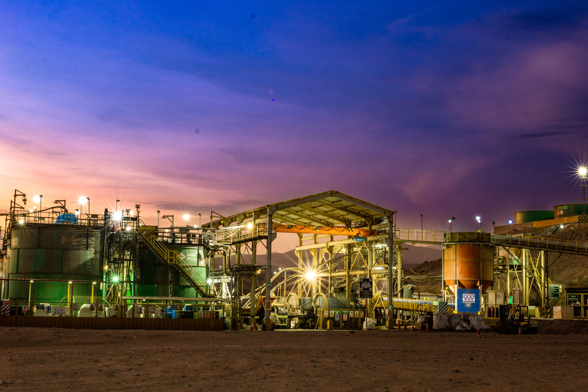 veta-dorada_chala-plant_peru-2