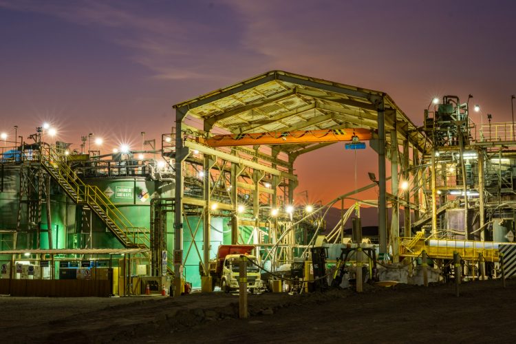 veta-dorada_chala-plant_peru-3 veta-dorada_chala-plant_peru-3